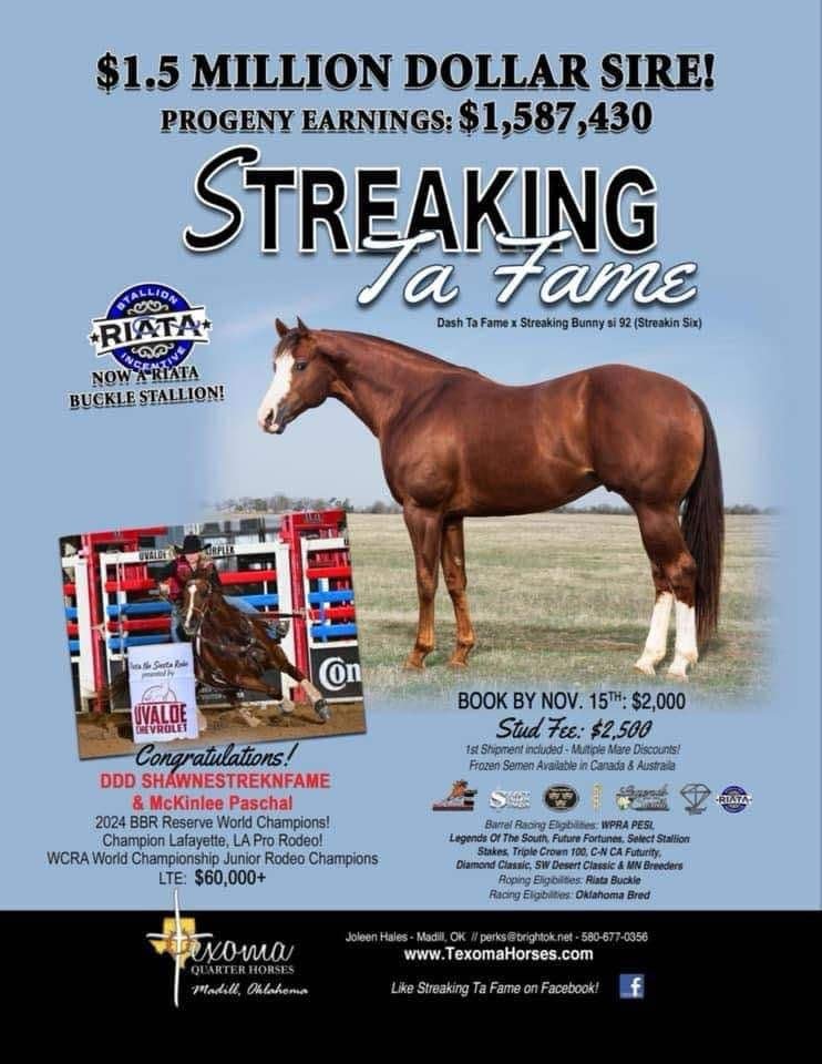 STREAKING TA FAME 4th Pic